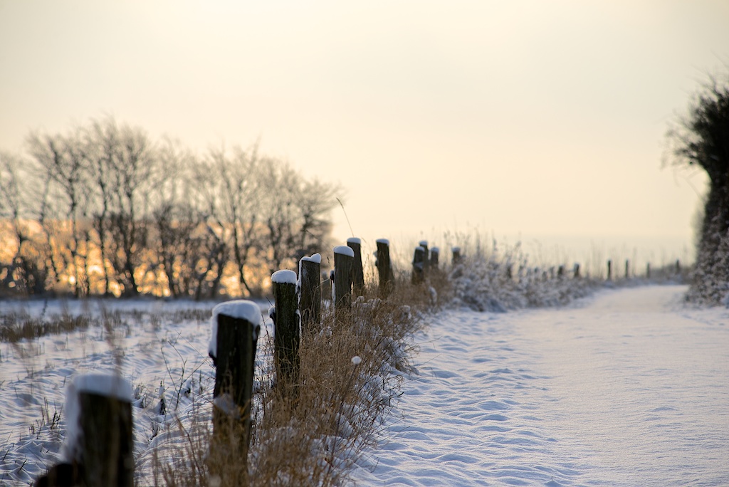 fotografering af sne