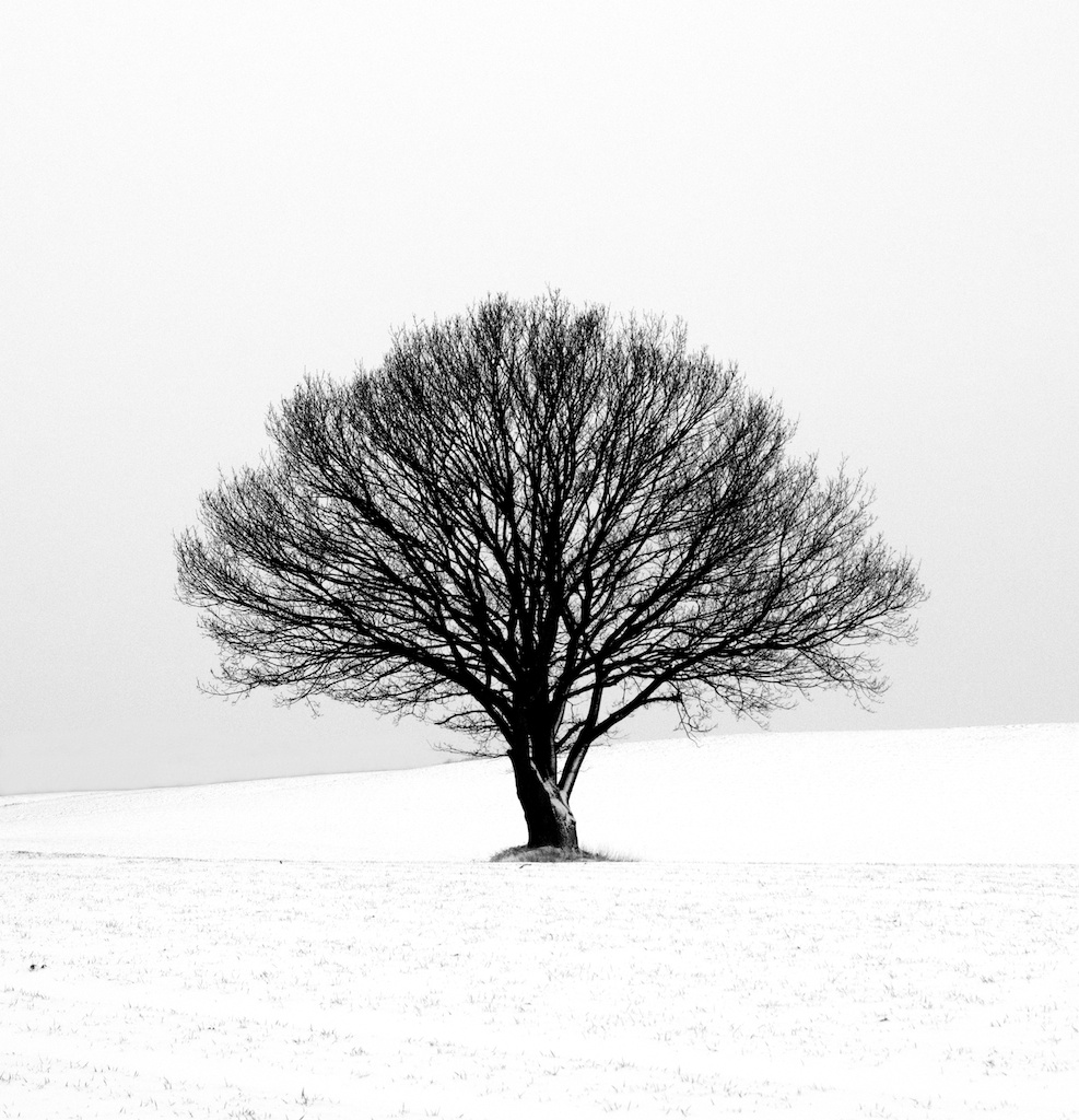 fotografering i snevejr